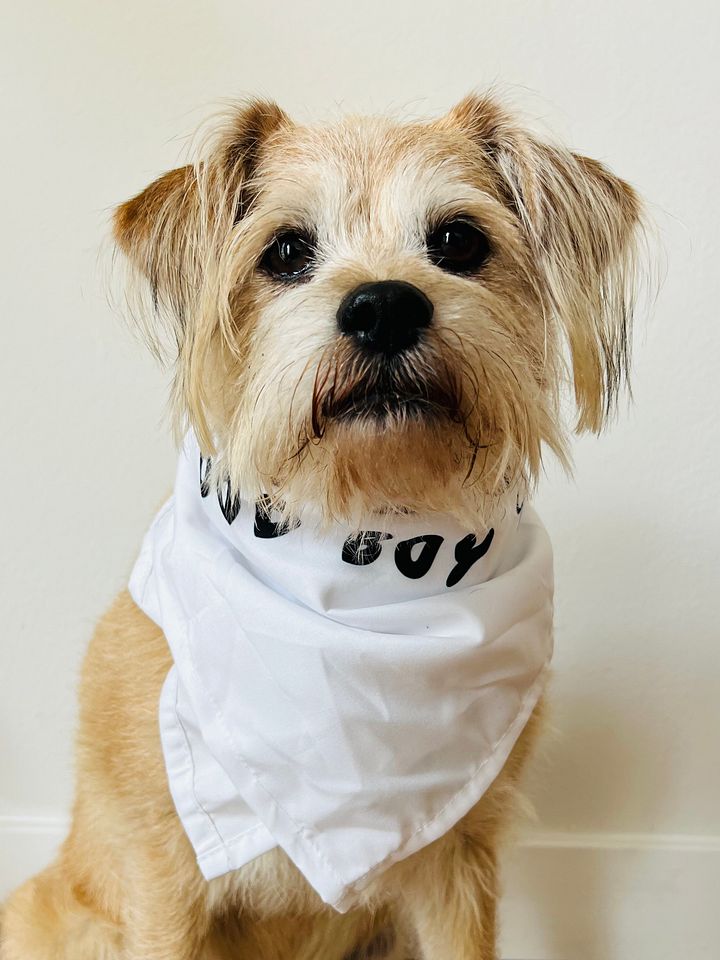 LTB A Good Boy Bandana product image (2)