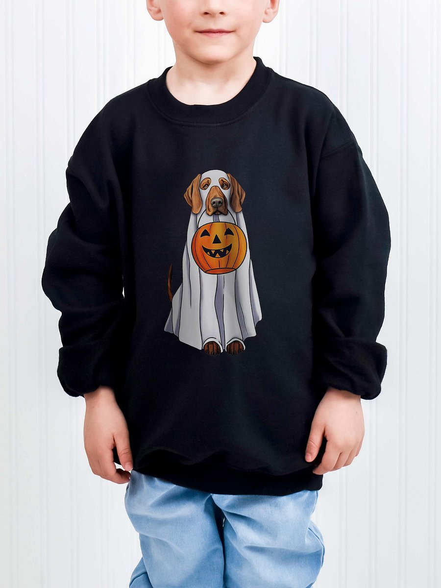 Halloween Redbone Coonhound Youth Sweatshirt product image (1)