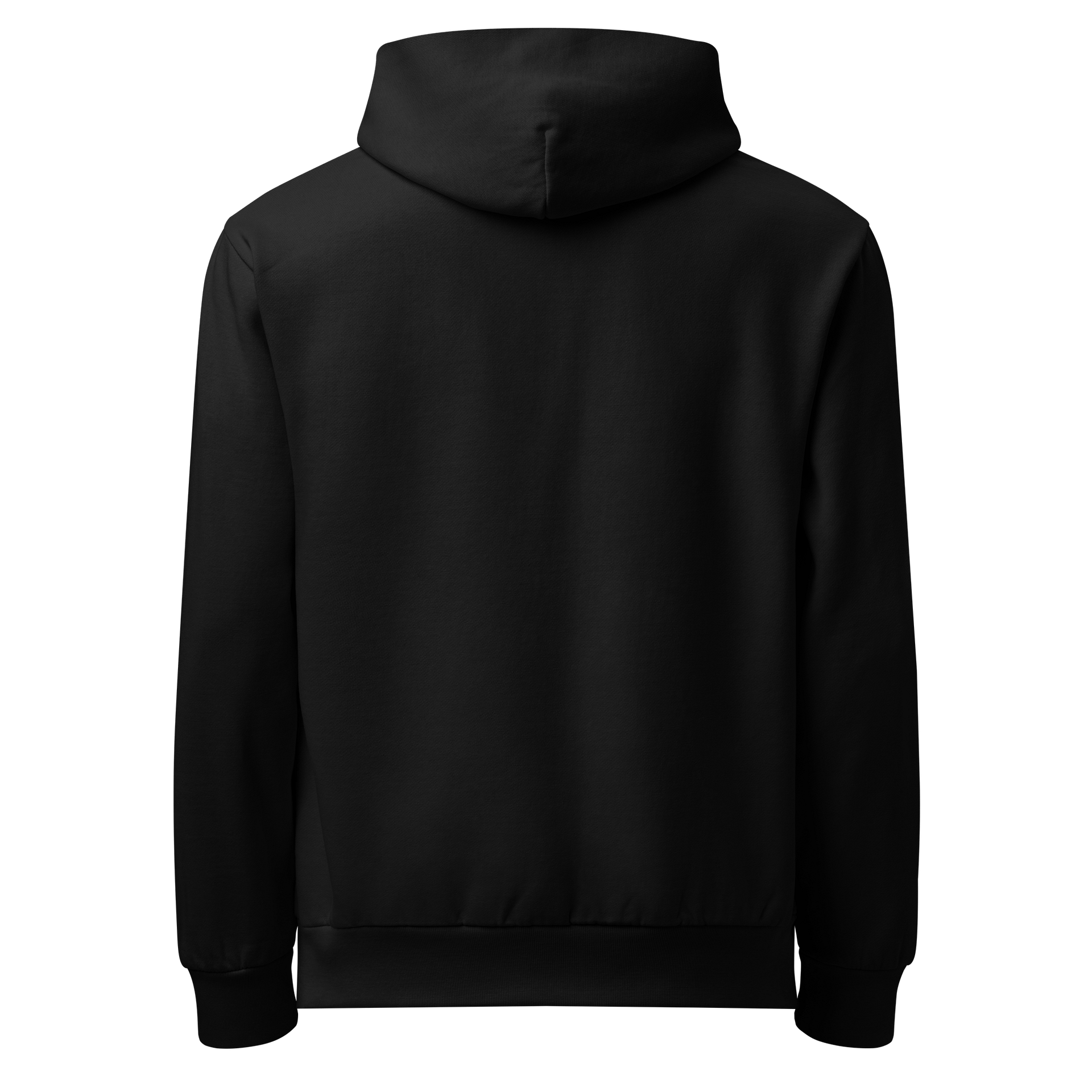 Zenith Circle Hoodie product image (4)