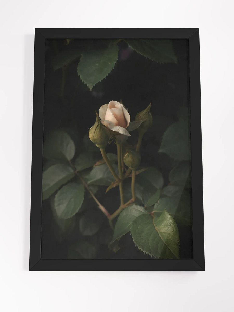 Shrouded Rose product image (7)