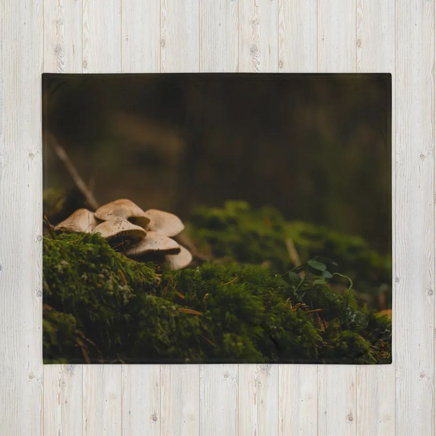 Cozy Mushroom product image (16)