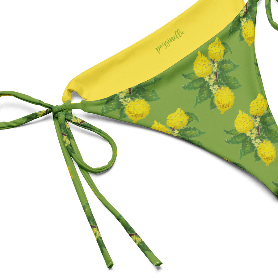 Lemon Love Green Bikini Bottom product image (1)