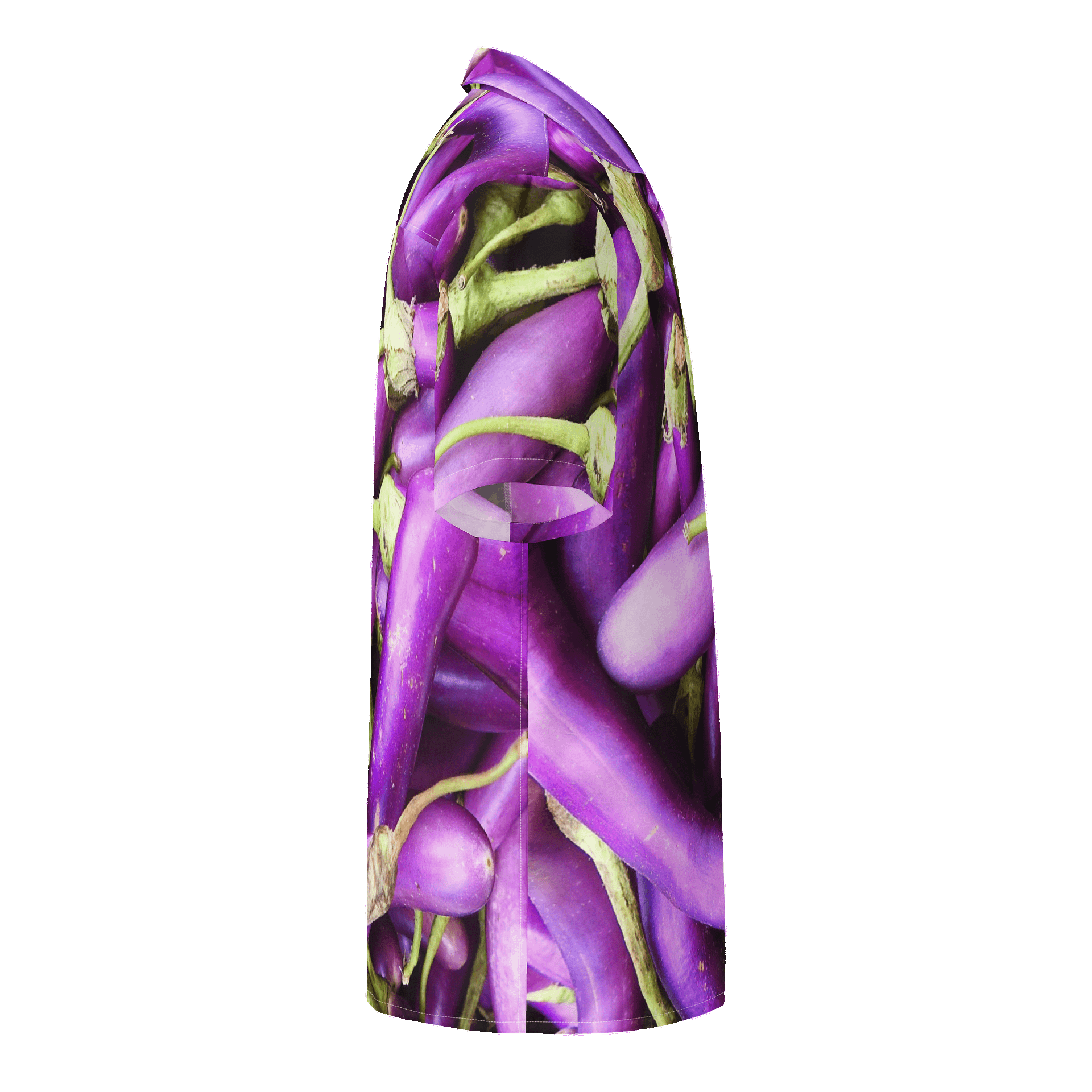 Eggplants in Business product image (4)