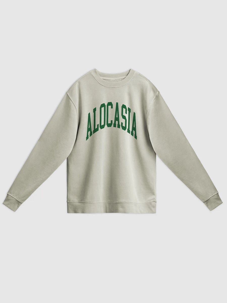 ALOCASIA varsity unisex midweight pigment dyed crewneck product image (1)