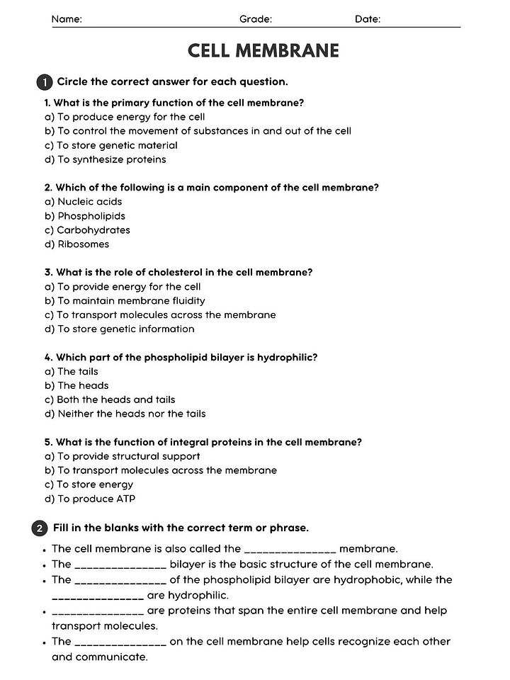 Cell Membrane Structure & Function Worksheet product image (1)