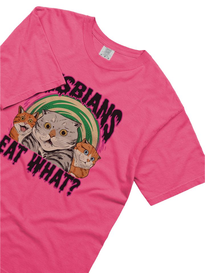 Funny 'LESBIANS EAT WHAT?' T-Shirt product image (82)