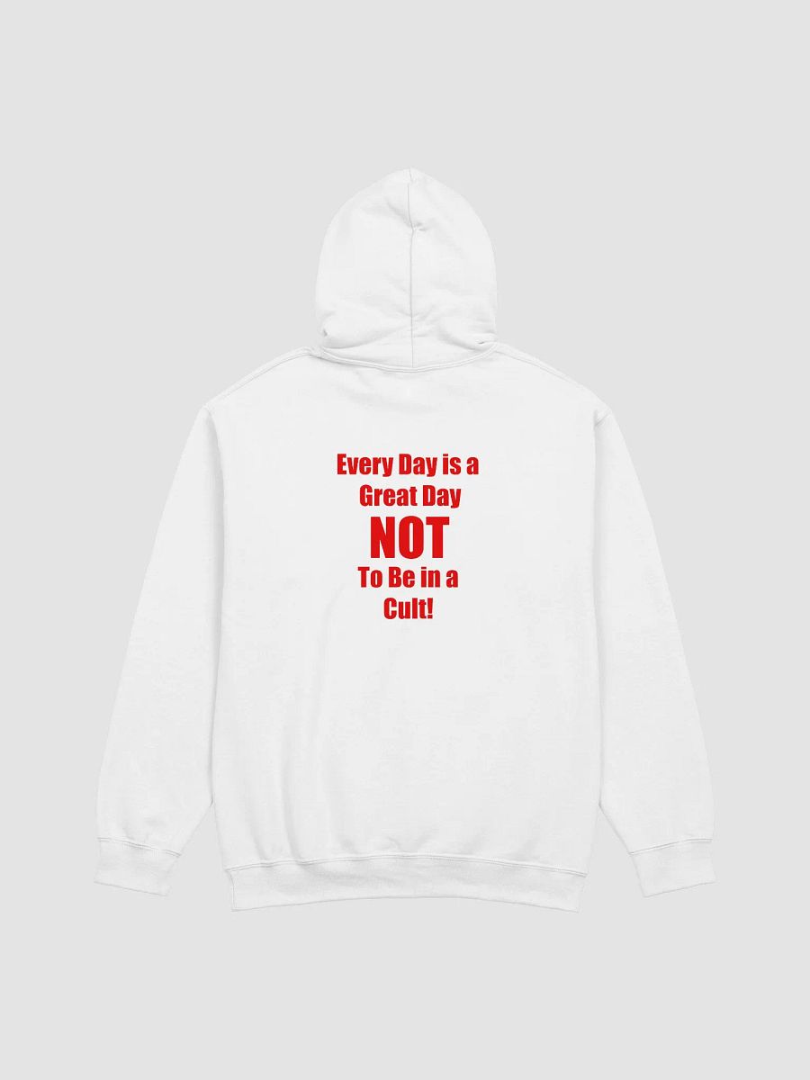 SPTV Foundation Classic Hoodie in White product image (3)