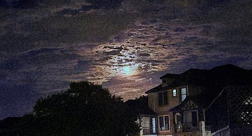 Goodnight Moon 😌👆

#fyp #explore #goodnightmoon