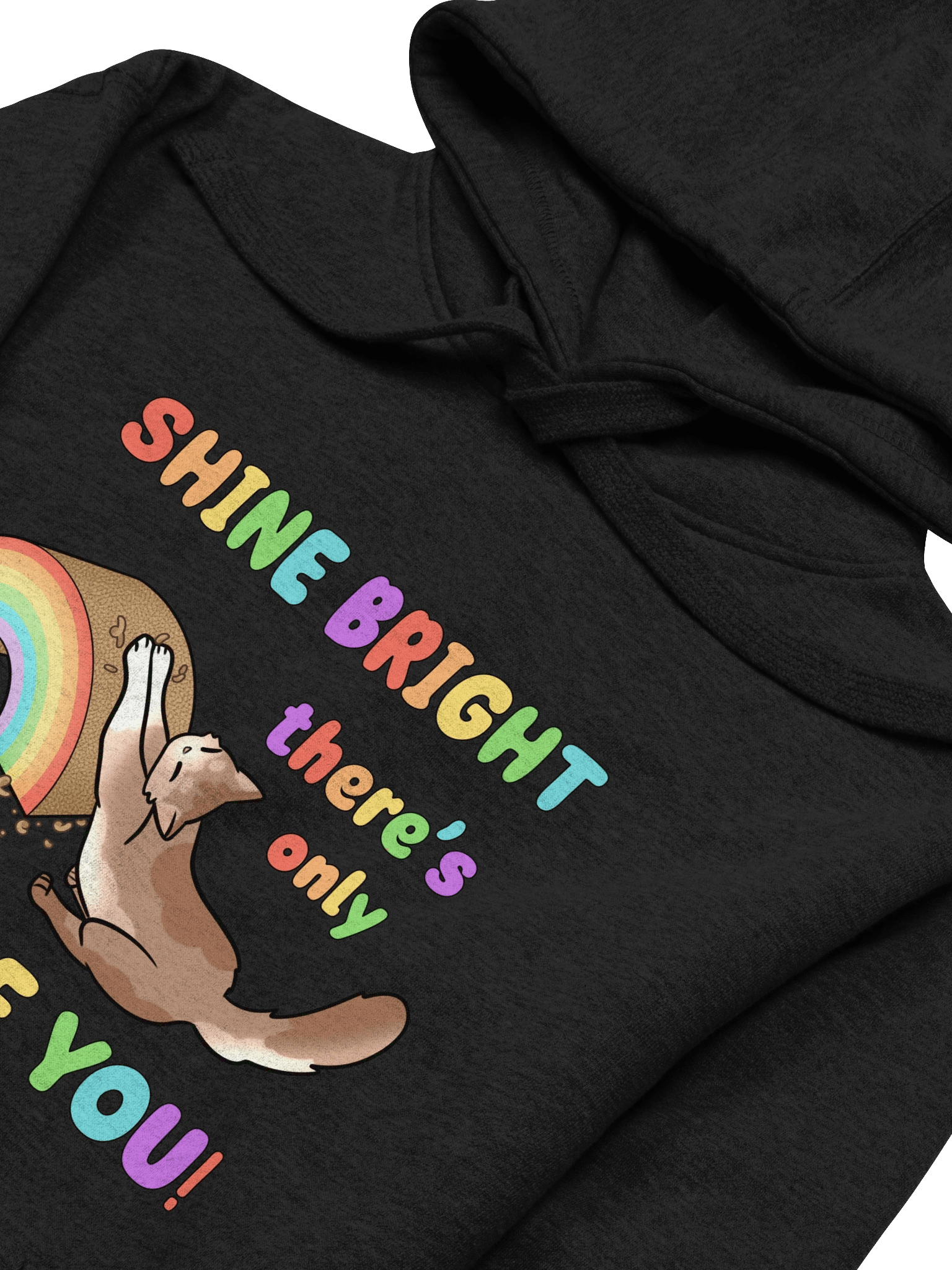 Shine Bright Pride Hoodie product image (35)