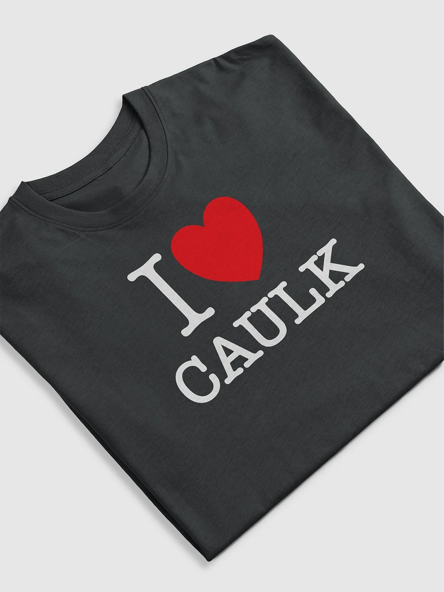 I LOVE CAULK / Dark Heavyweight Tee product image (5)