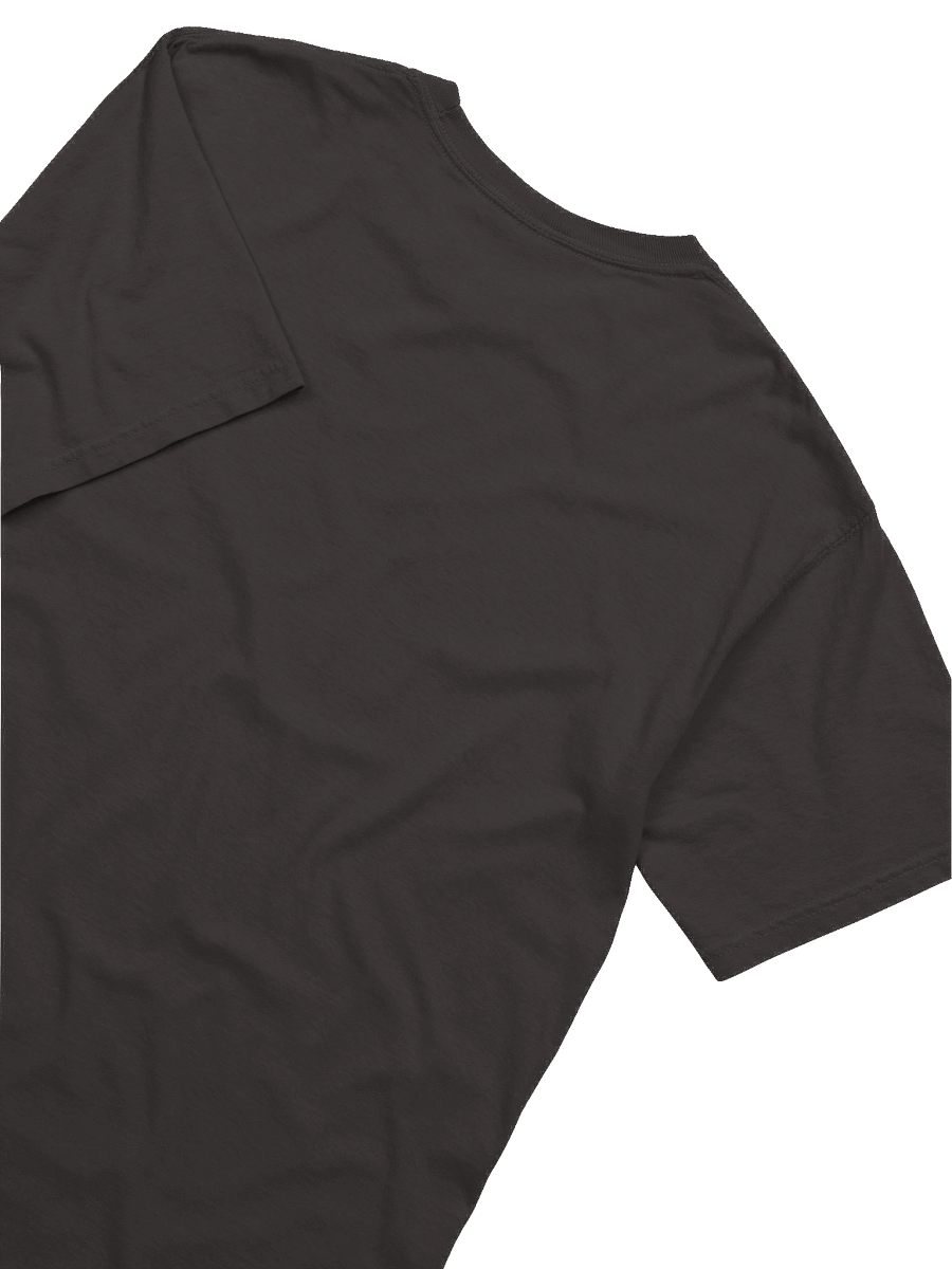 Stupid T-Shirt (Great Loop Edition) product image (16)