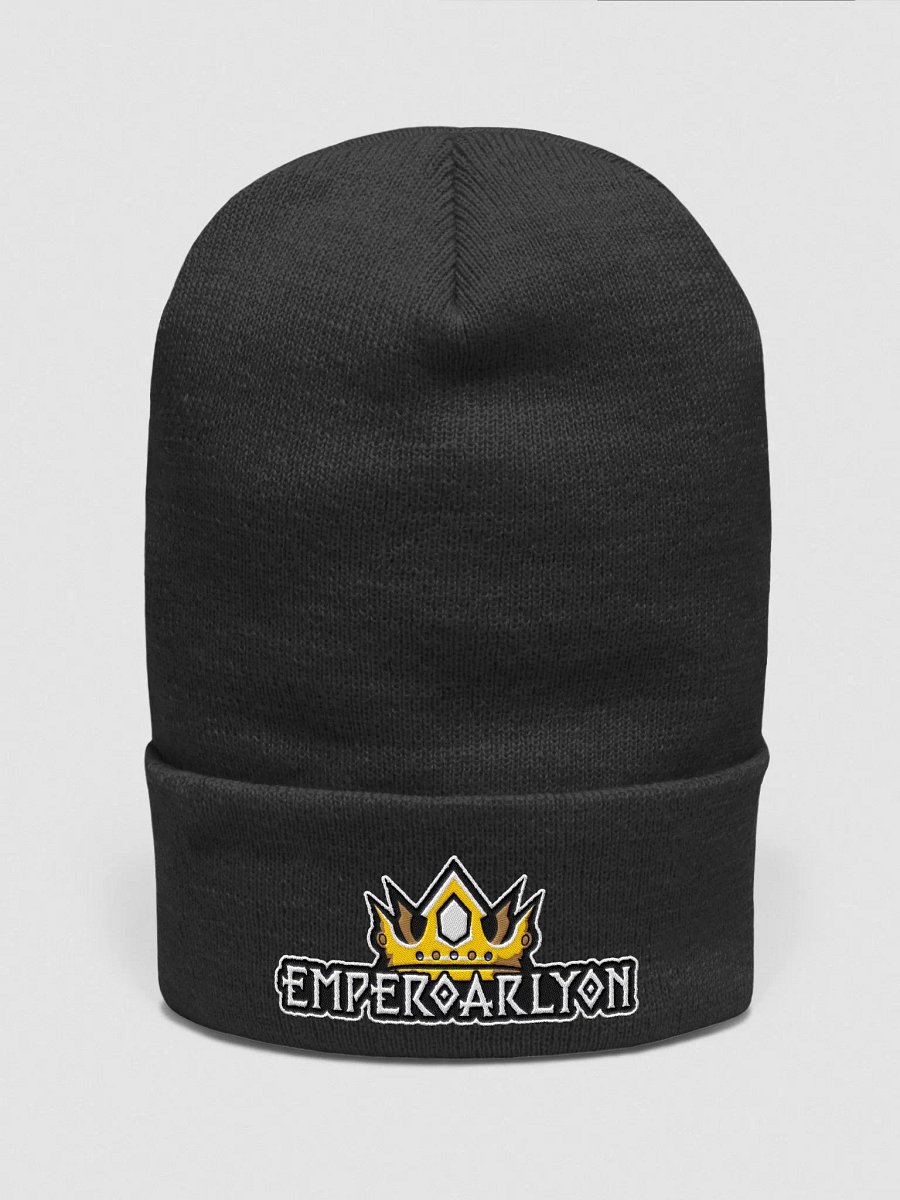 Cuffed Beanie product image (3)