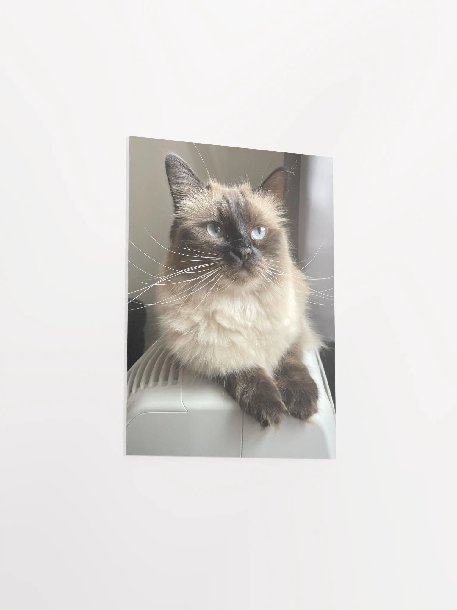 Lilith Poster product image (3)