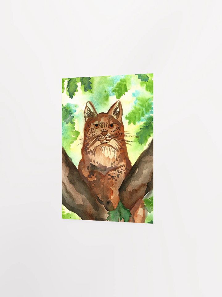 Lynx In A Tree Art Print product image (7)