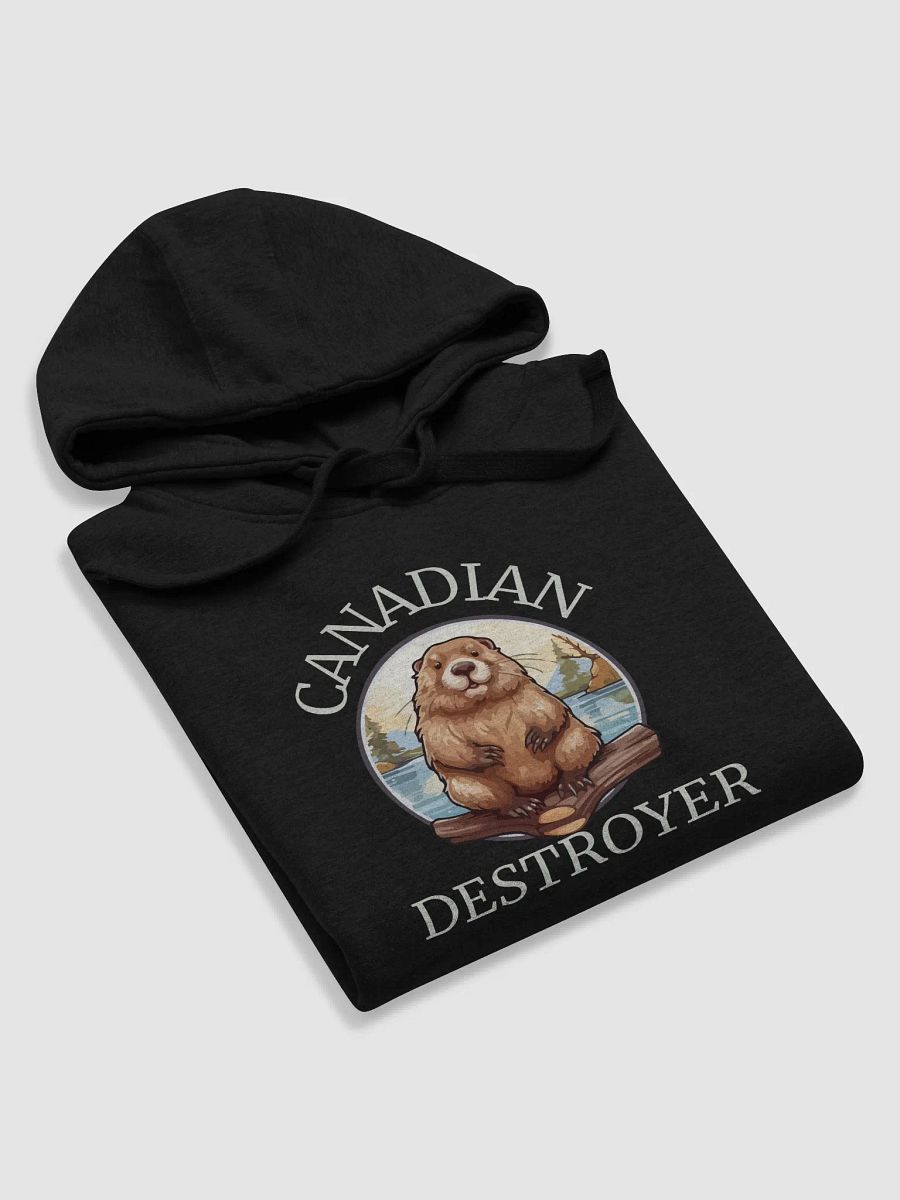 Canadian Destroyer Hoodie product image (5)