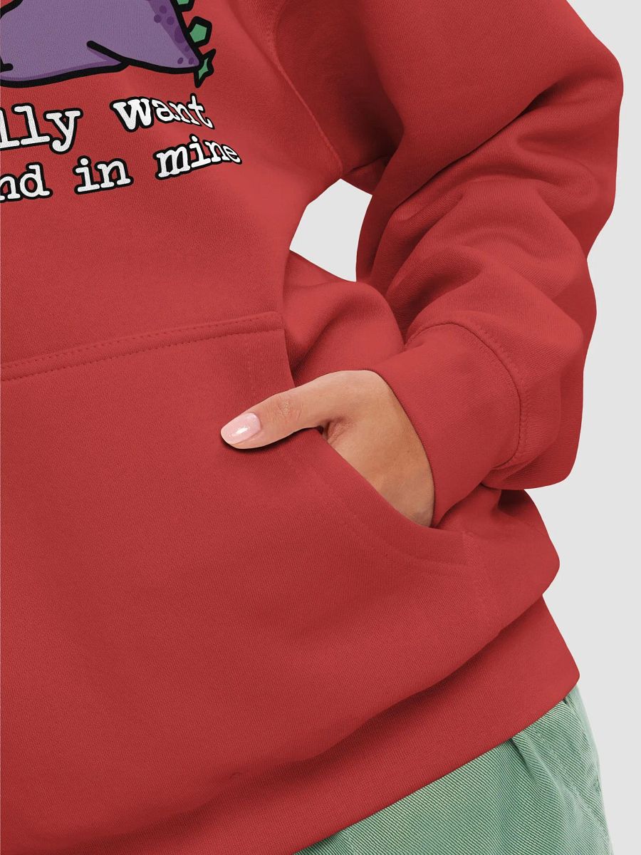 All I Really Want Premium Pullover Hoodie product image (5)