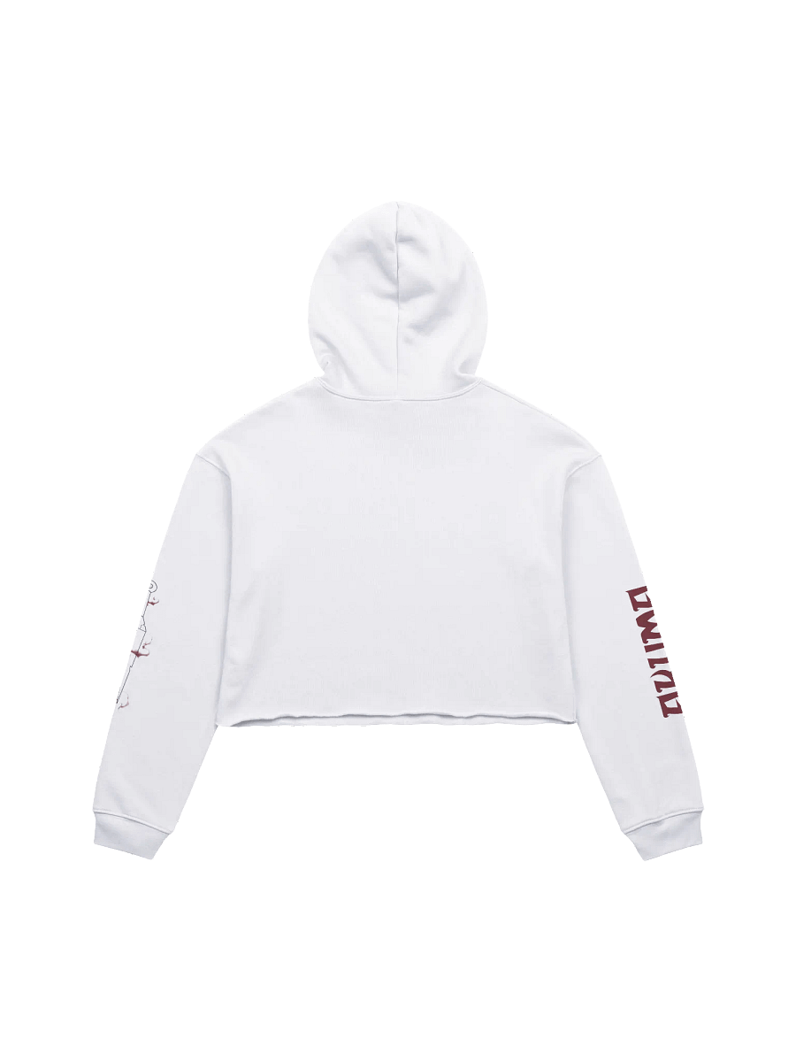 Kunai Unlimited Crop Hoodie product image (2)