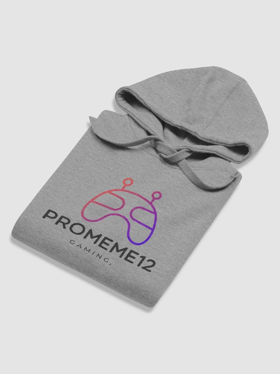 PROMEME hoodie product image (5)