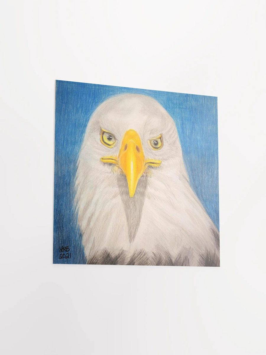 Bald Eagle Print product image (12)