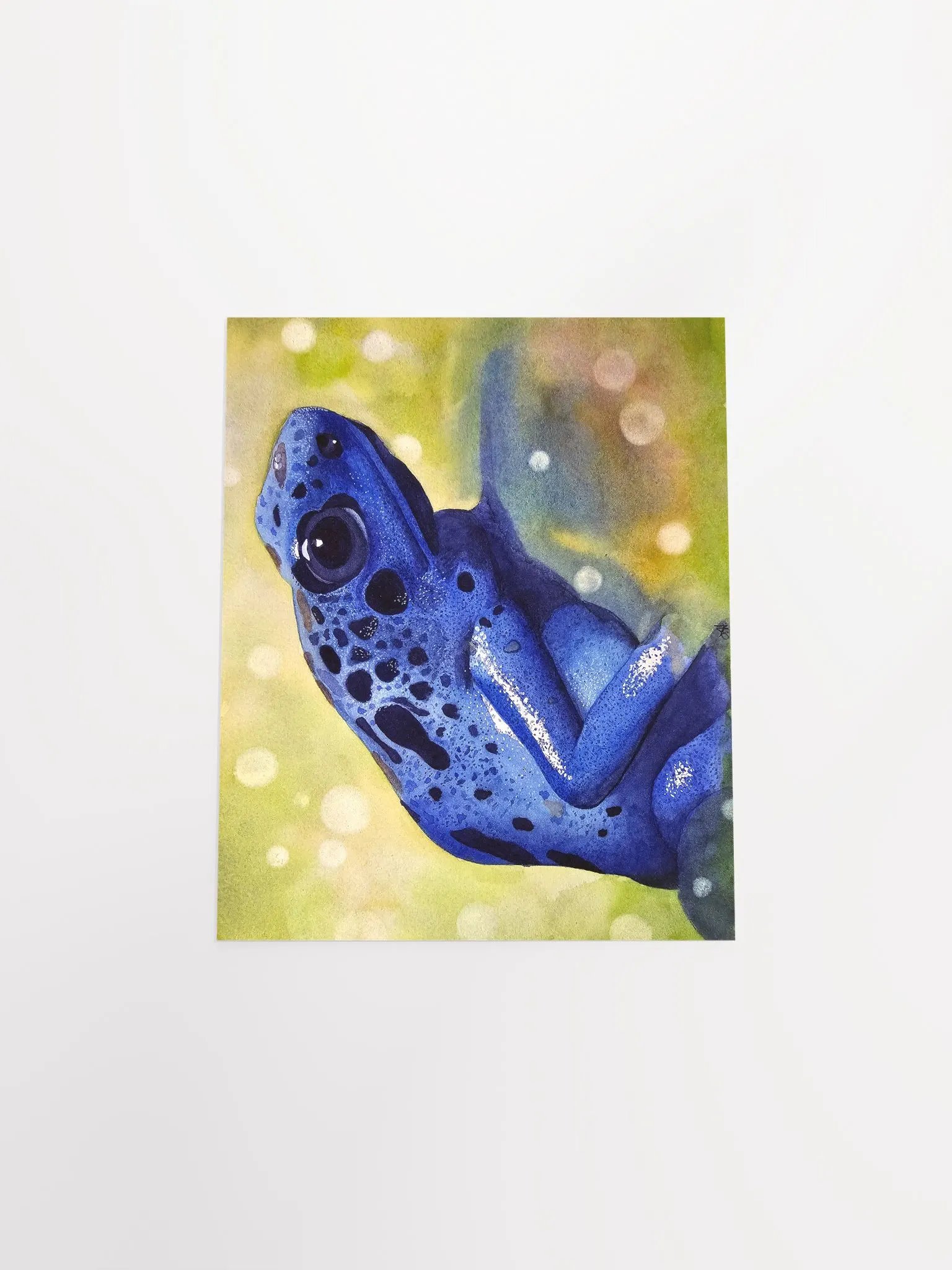 Randolf - Poison dart frog - print product image (4)