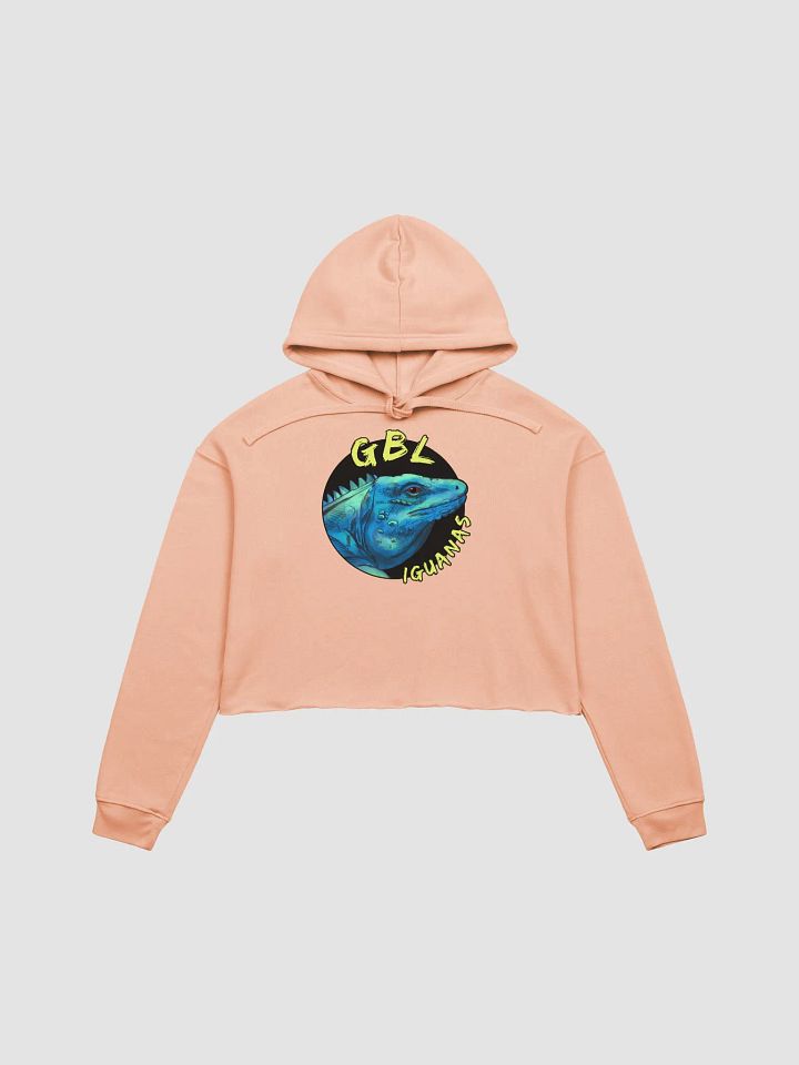 Women's Crop Hoodie product image (2)