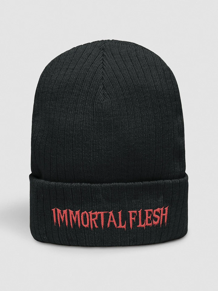 Immortal Flesh Script Ribbed Toque / Beanie product image (1)