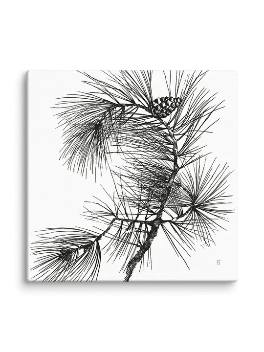 Blank Canvas Collection - Pine Branch product image (2)