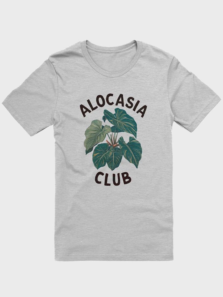 Alocasia Club product image (4)