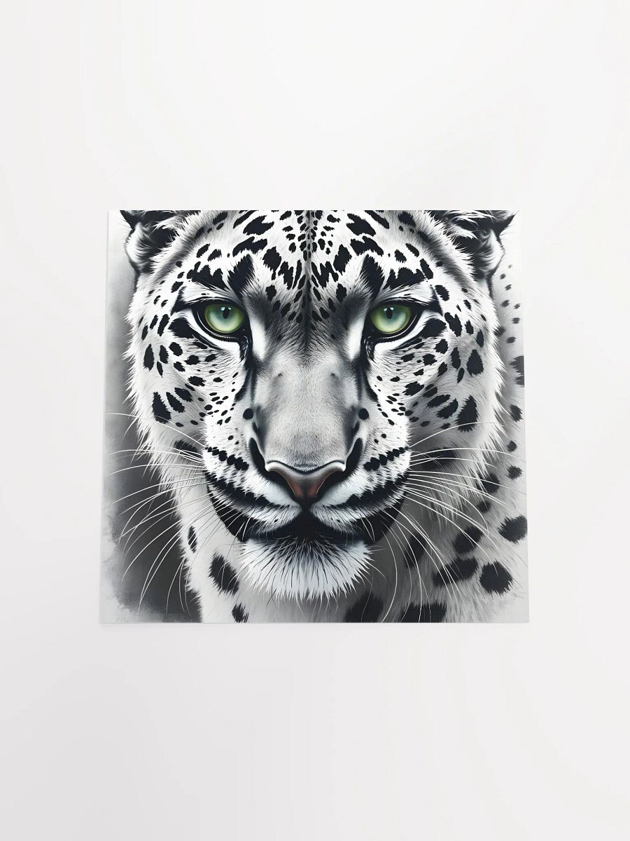Snowleopard product image (18)