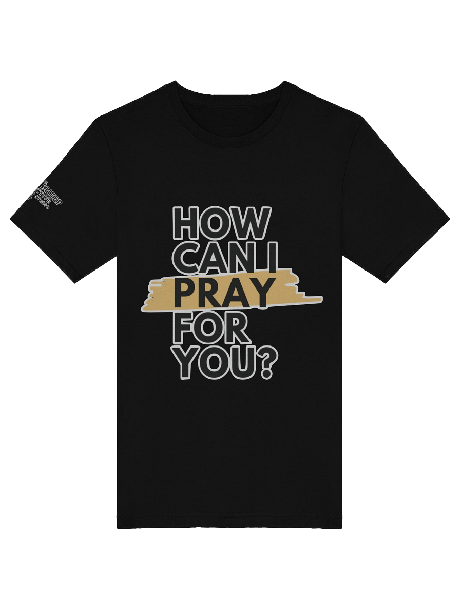 How Can I Pray For You T-Shirt product image (5)