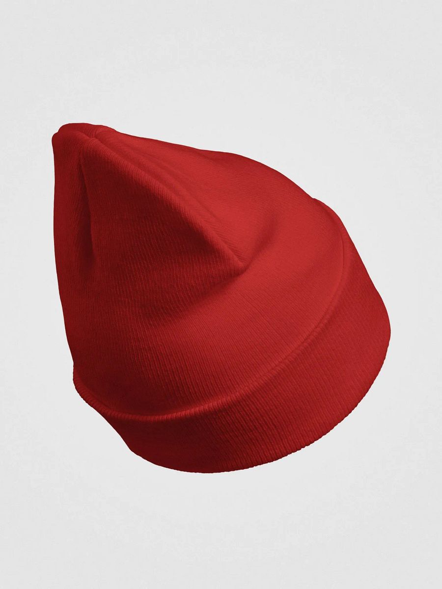 Juggernaut Knit Beanie product image (12)