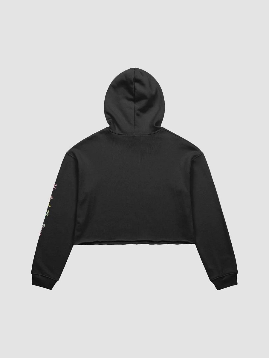 Ho_And_The_Bros Rainbow Logo Cropped Hoodie product image (8)