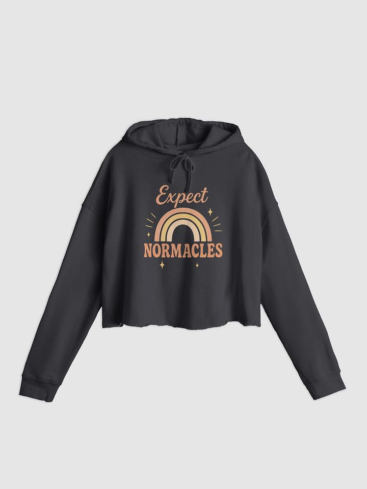 Expect Normacles Crop Hoodie product image (2)