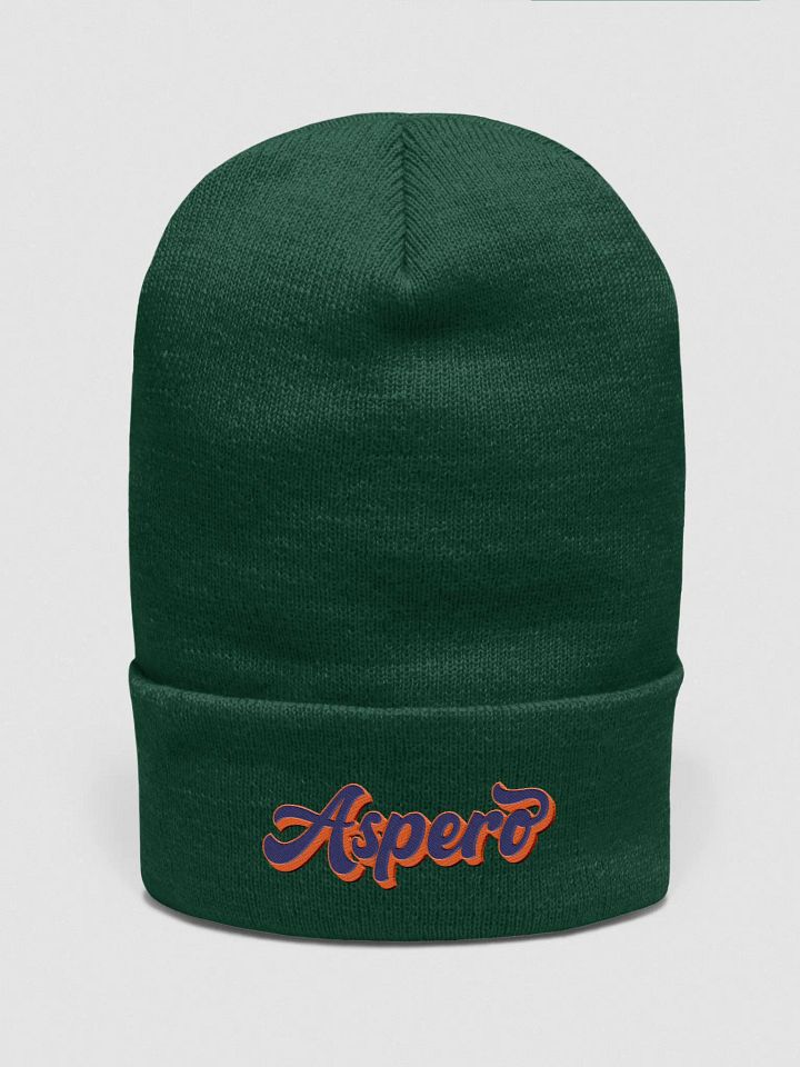 Aspero Yupoong Cuffed Beanie B/O product image (1)