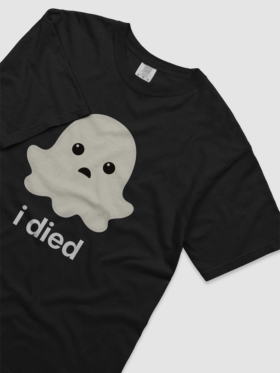 Sad Ghost Heavyweight Tee - Dark Color product image (32)