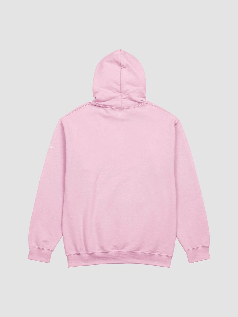 Golden Gate Park Raccoons Classic Hoodie product image (2)