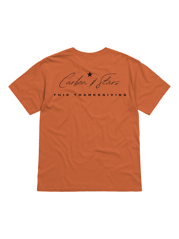 Plain Thanksgiving _ T Shirt product image (10)