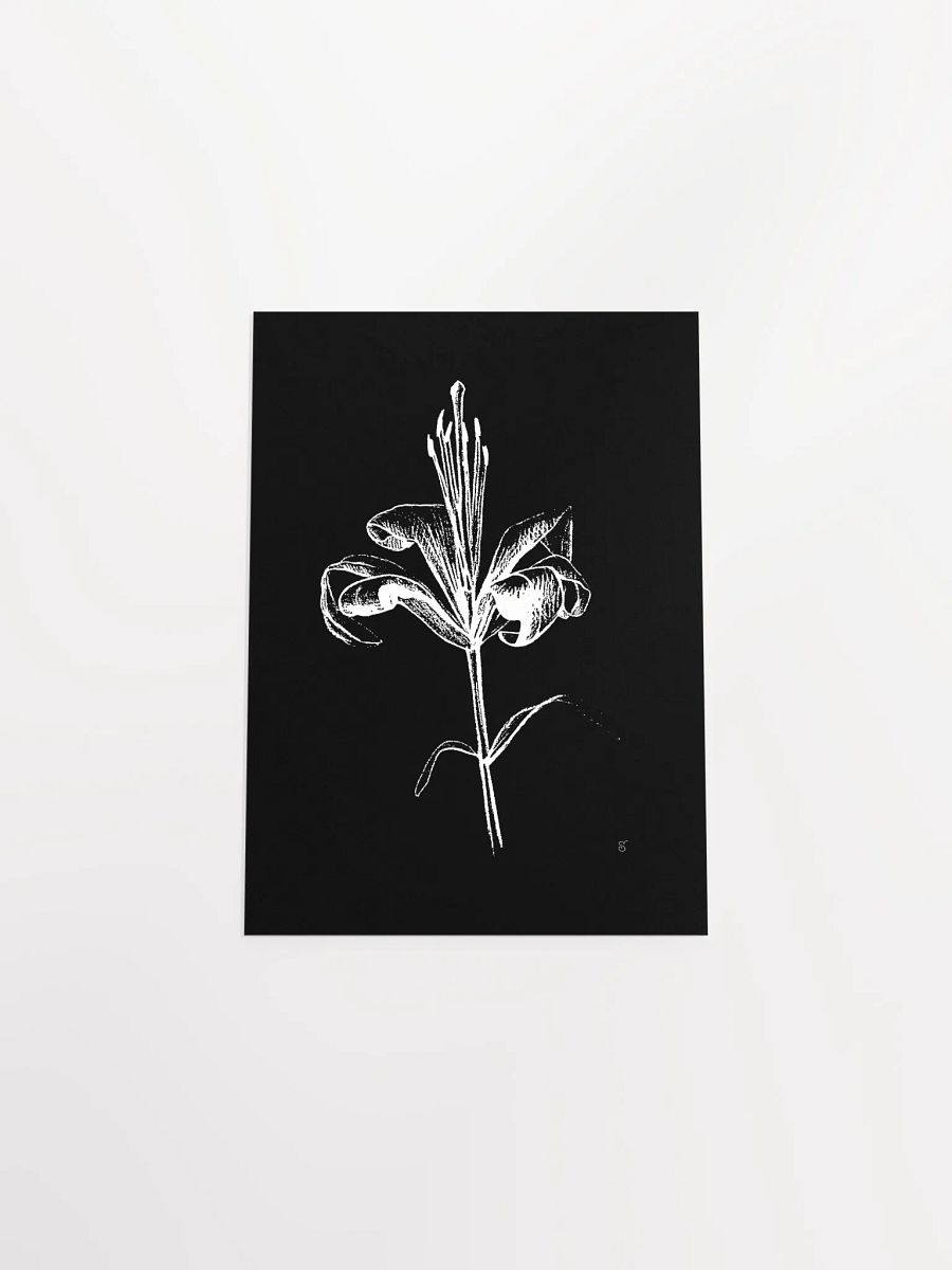 Ethereal Lily Sketch Poster - Fine Flower Dark product image (4)