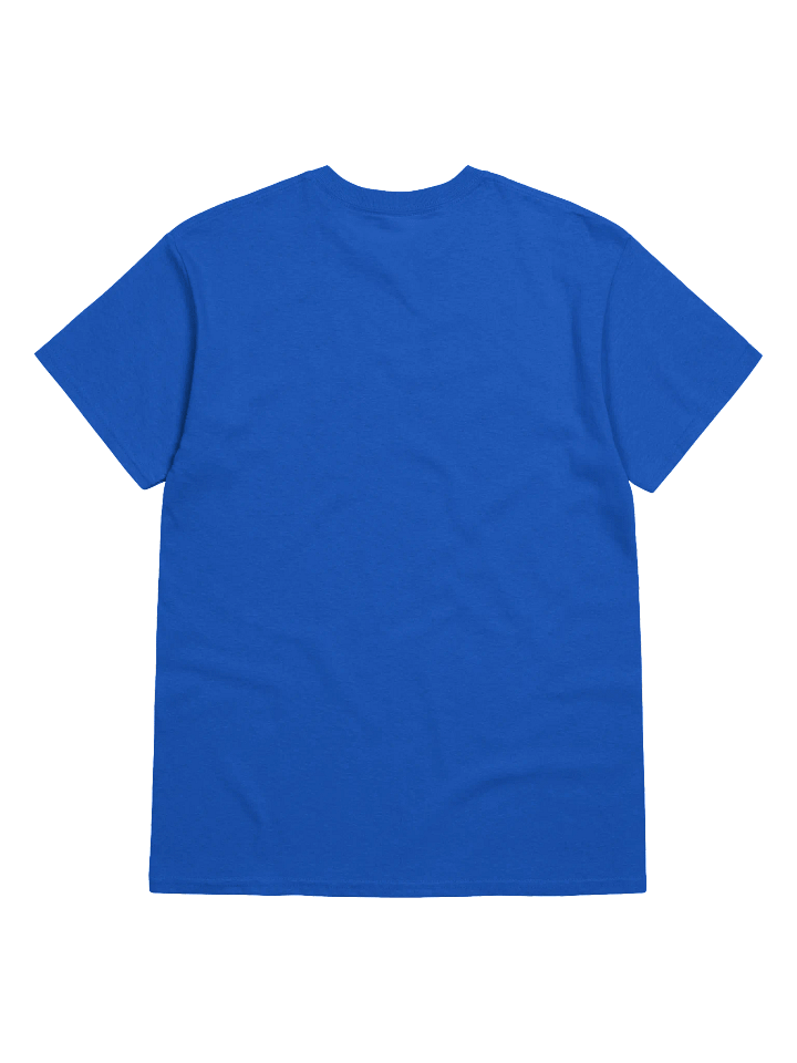 Black-Bakced Gulls unisex tee product image (17)