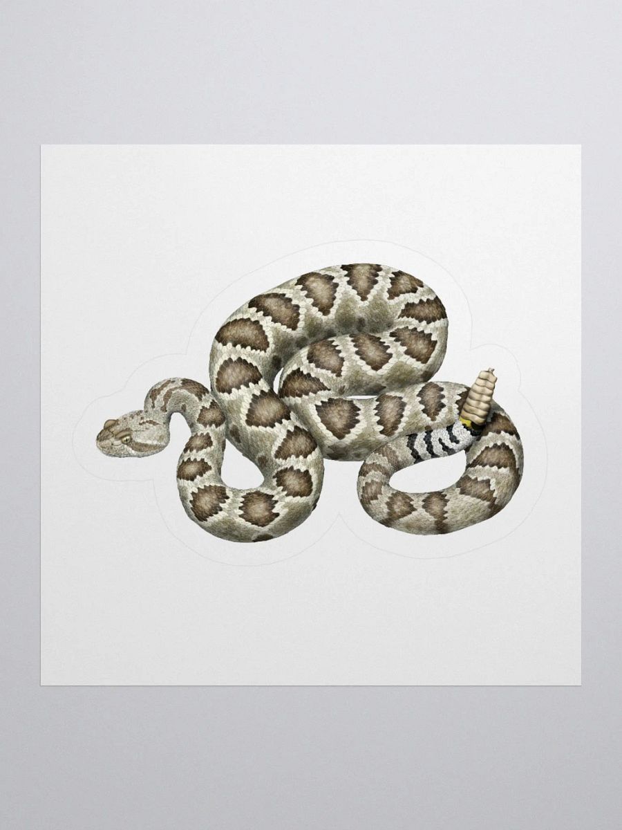 Die-Cut Sticker – Mojave Rattlesnake product image (1)