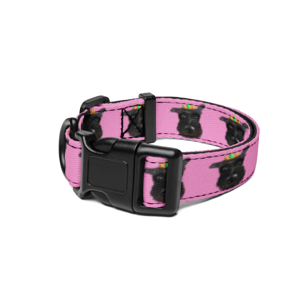 Queen Kyia Pet Collar product image (1)