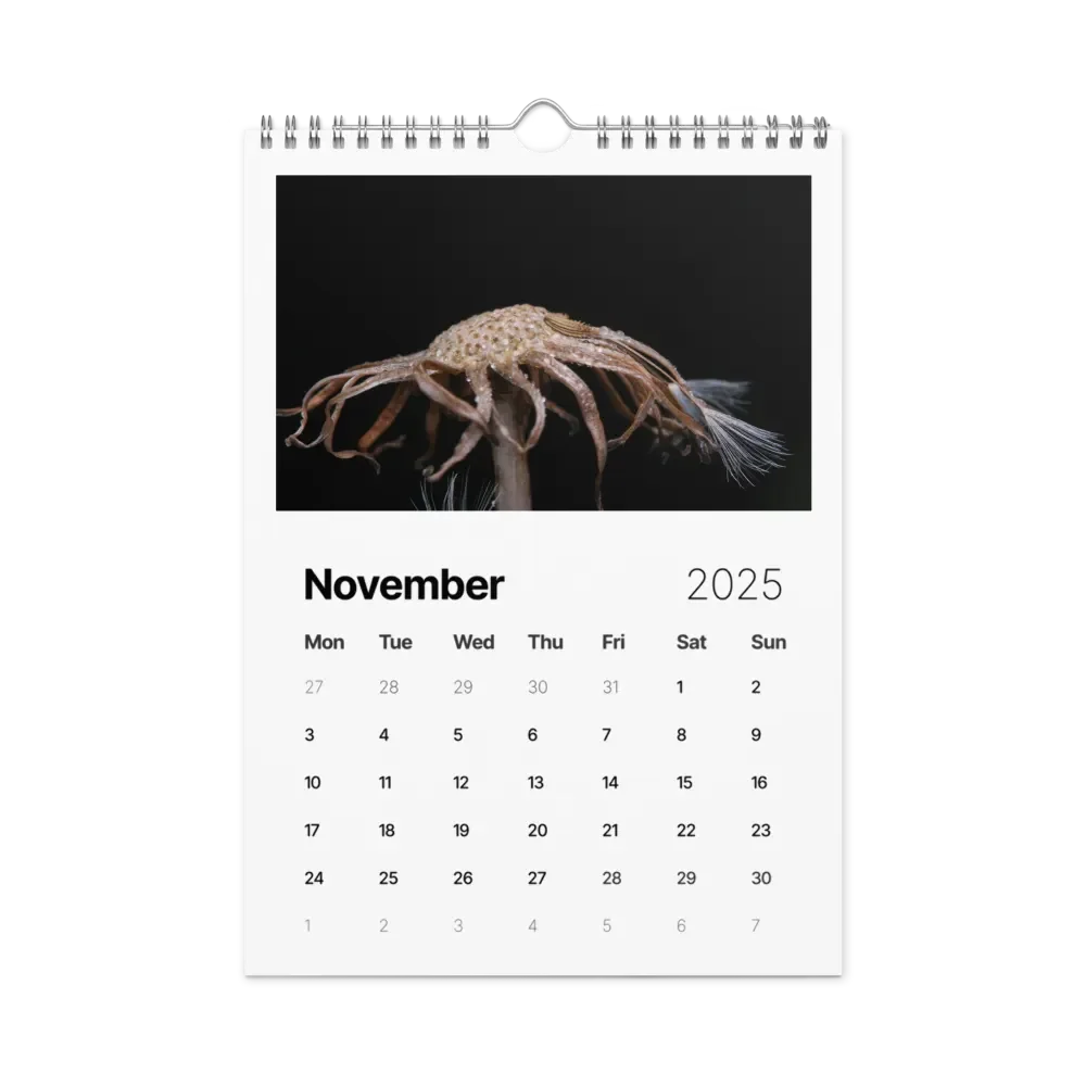 Ephemeral Dandelions 2025 Wall Calendar product image (12)
