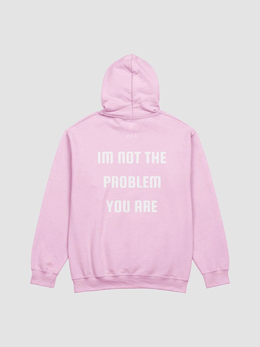 not the problem hoodie product image (3)
