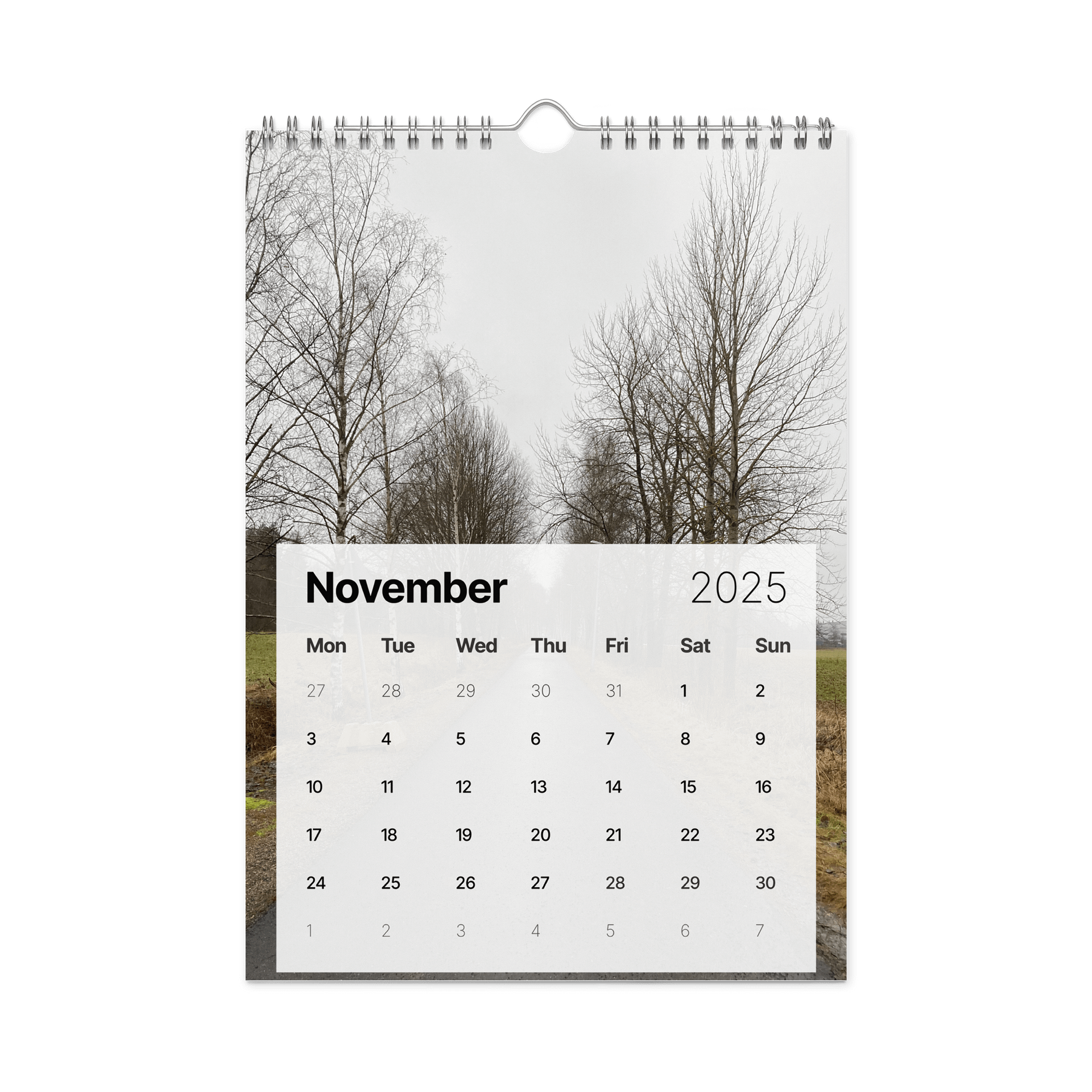 Golden Harvest: 2025 Mushroom Wall Calendar product image (11)