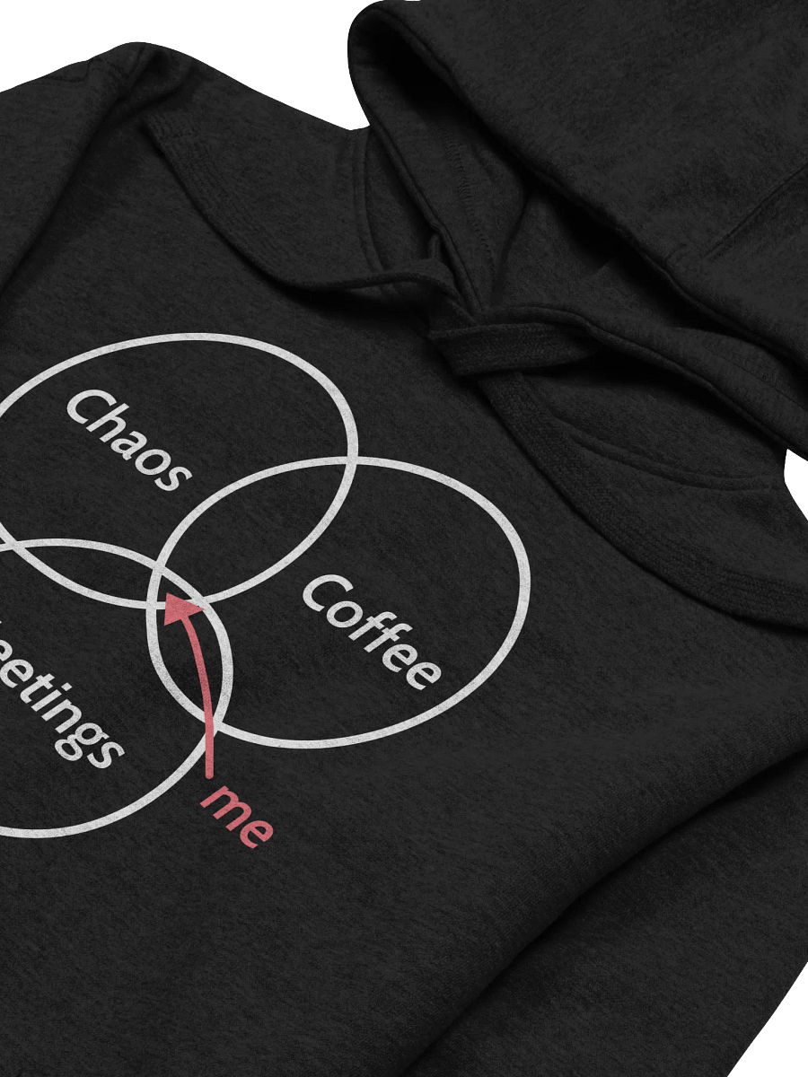 Unisex Hoodie: True PM Venn diagram product image (3)