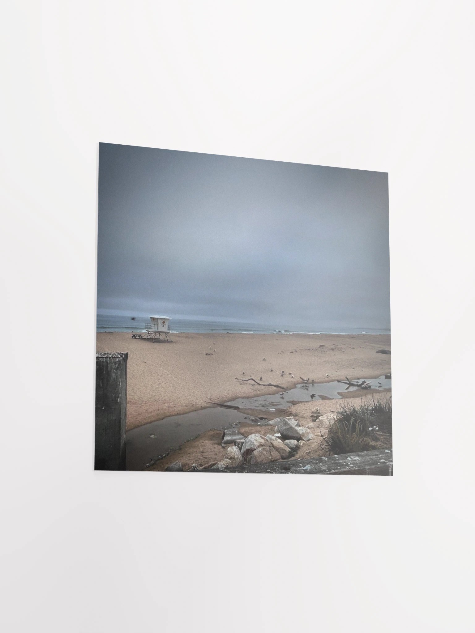 Early Tide product image (11)