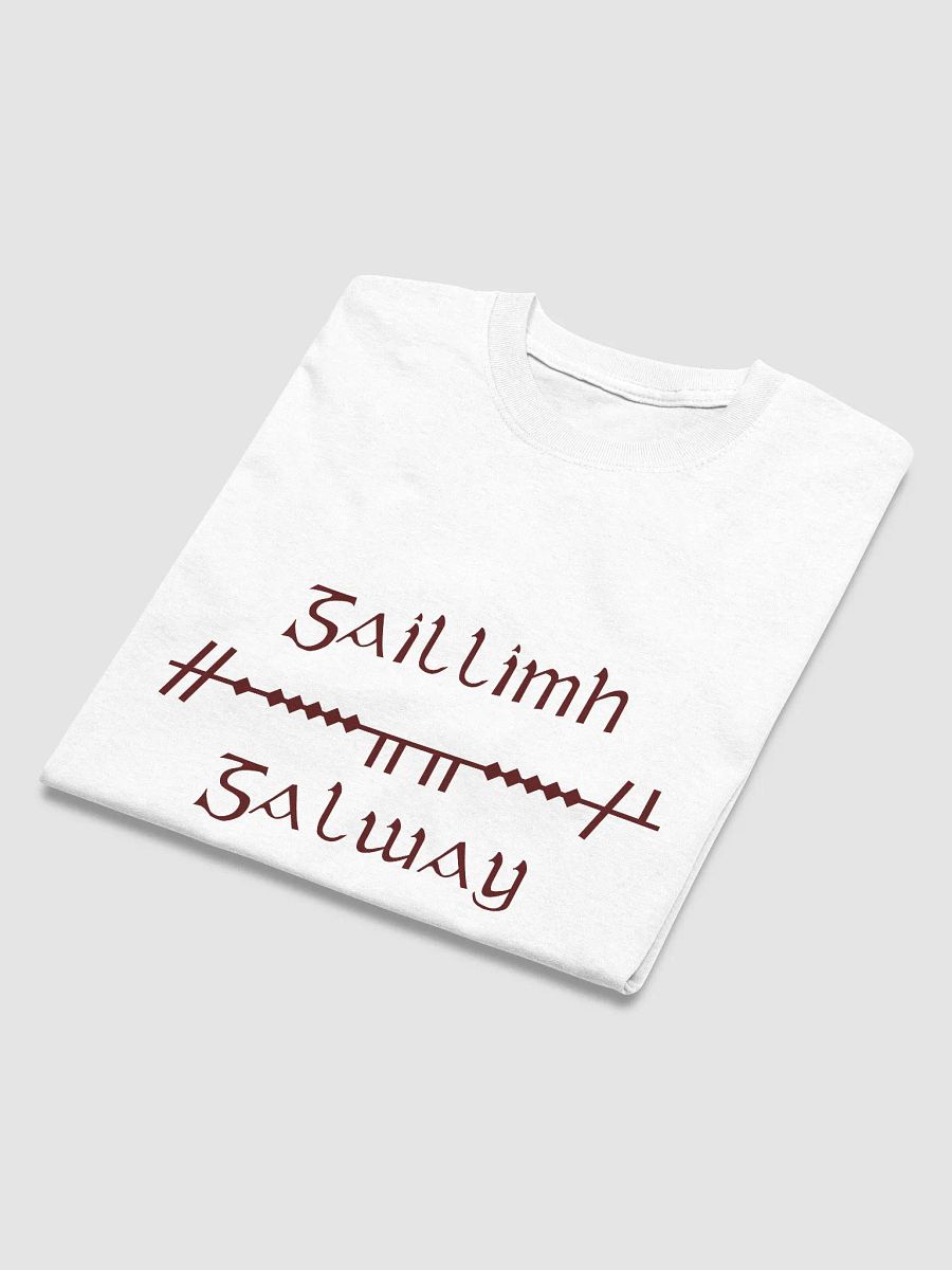 Galway/Gaillimh Scholastic style Ogham white printed T-shirt product image (4)