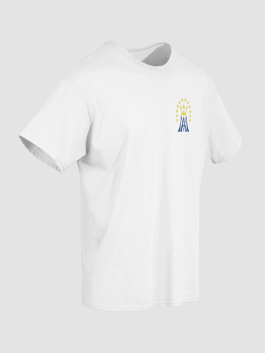Most Holy Mary Theotokos Ora Pro Nobis product image (5)