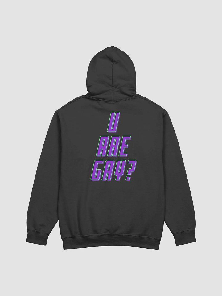 u are gay? hoodie product image (10)
