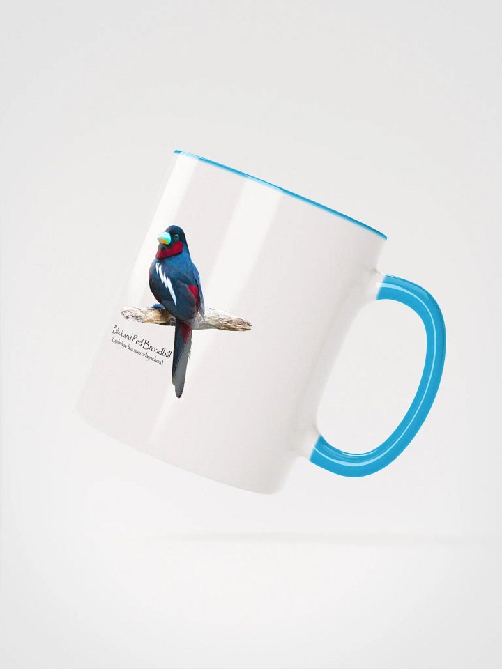 Black and Red Broadbill mug product image (15)